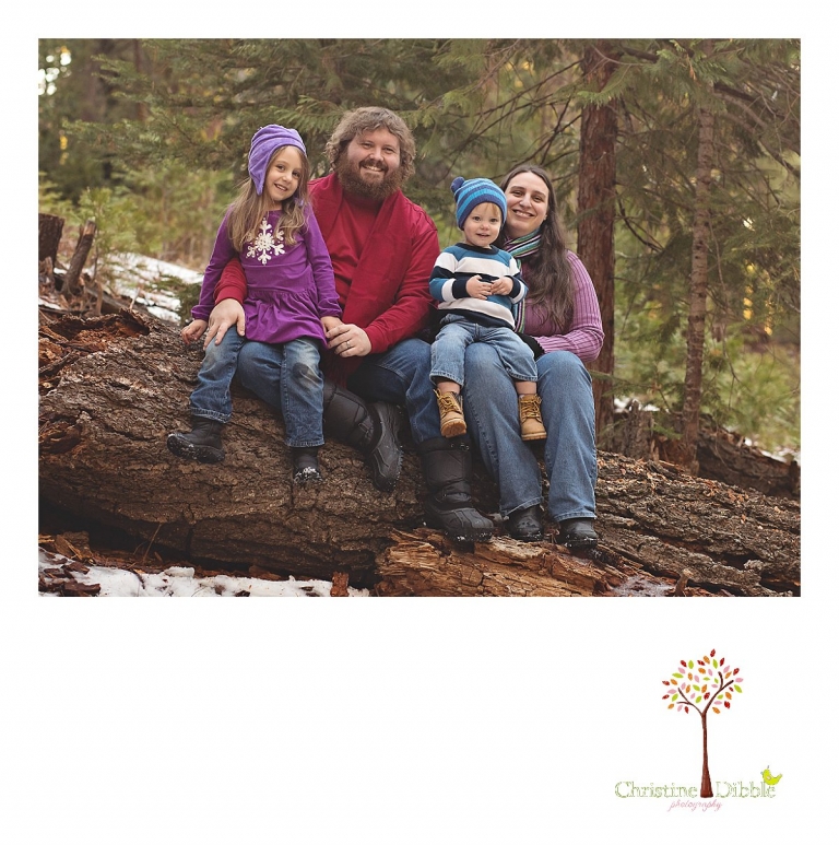 Sonora, CA Custom Portrait Photographer Christine Dibble Photography_0636.jpg