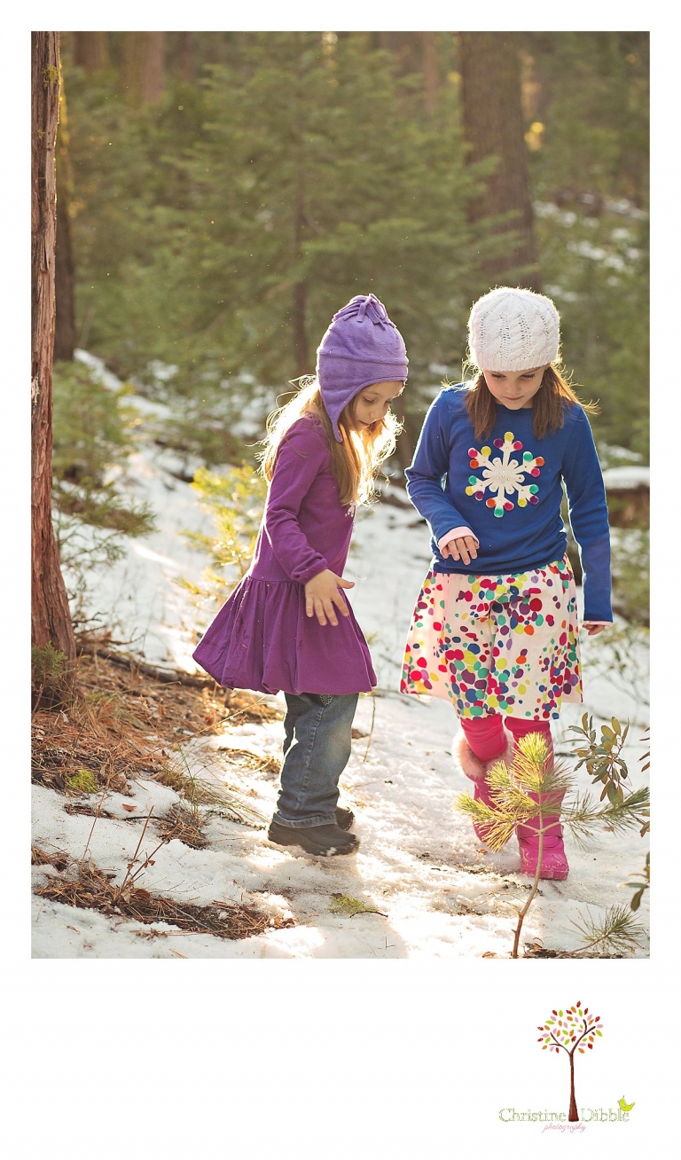 Sonora, CA Custom Portrait Photographer Christine Dibble Photography_0638.jpg