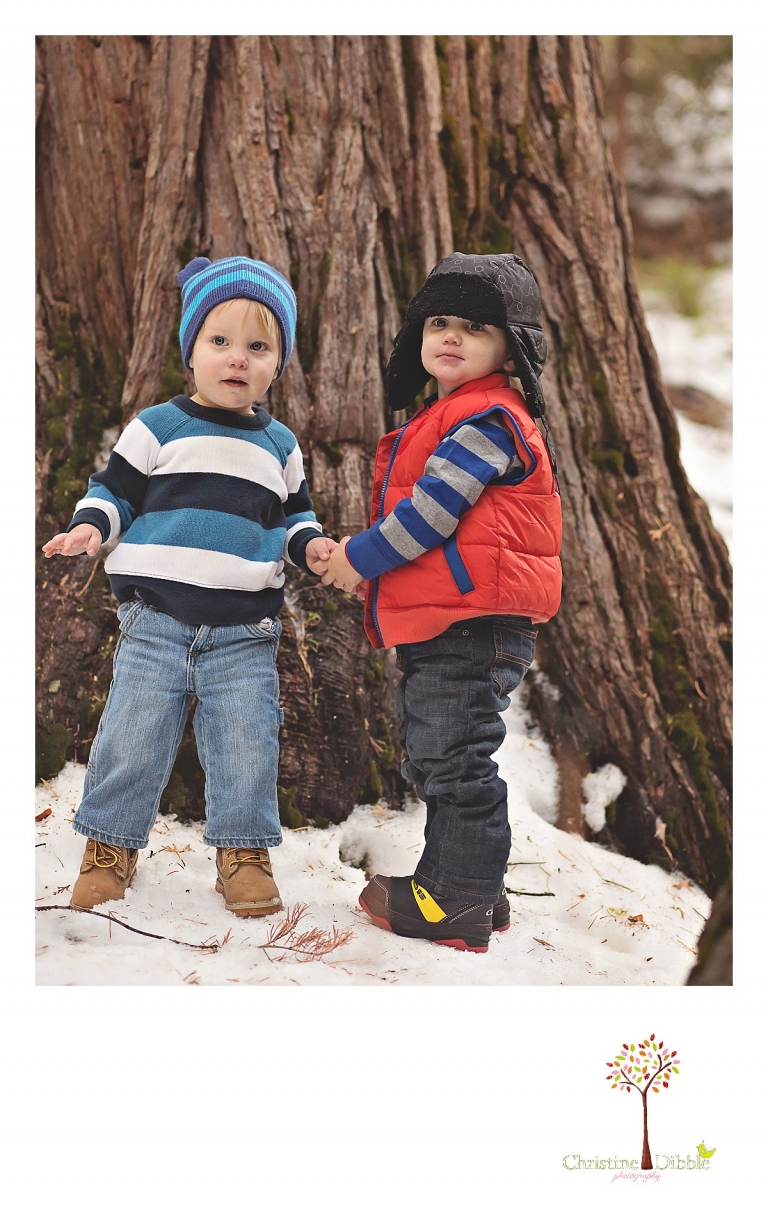 Sonora, CA Custom Portrait Photographer Christine Dibble Photography_0641.jpg