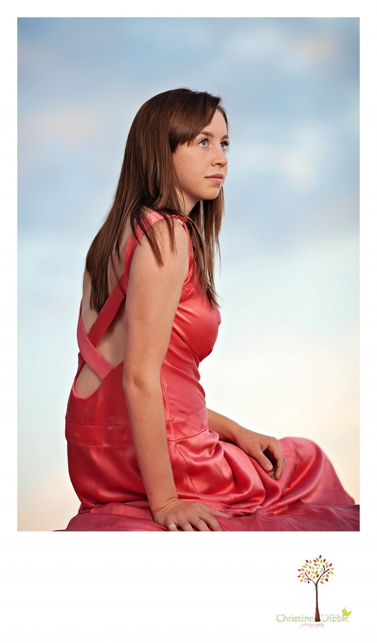 Sonora, CA Custom Portrait Photographer Christine Dibble Photography_0662.jpg
