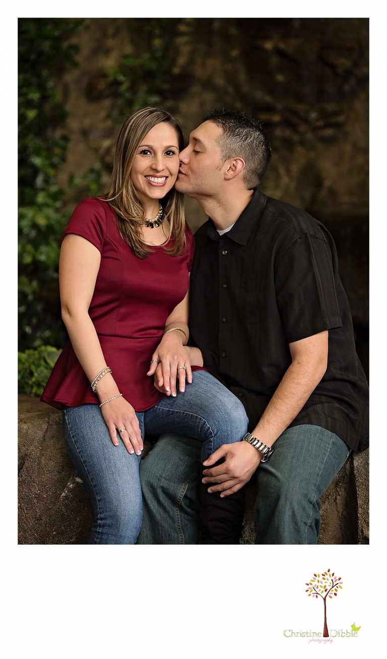 Sonora, CA Custom Portrait Photographer Christine Dibble Photography_0685.jpg