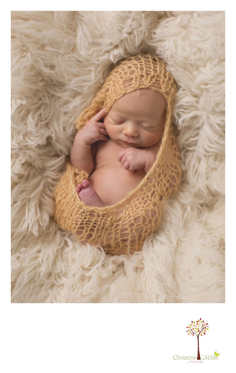 Sonora, CA Custom Portrait Photographer Christine Dibble Photography_0791.jpg