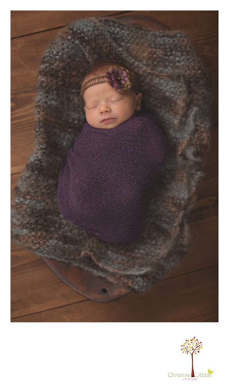 Sonora, CA Custom Portrait Photographer Christine Dibble Photography_0794.jpg