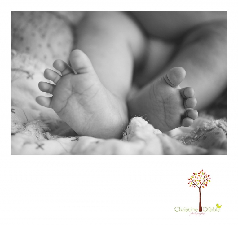 Sonora, CA Custom Portrait Photographer Christine Dibble Photography_0881.jpg