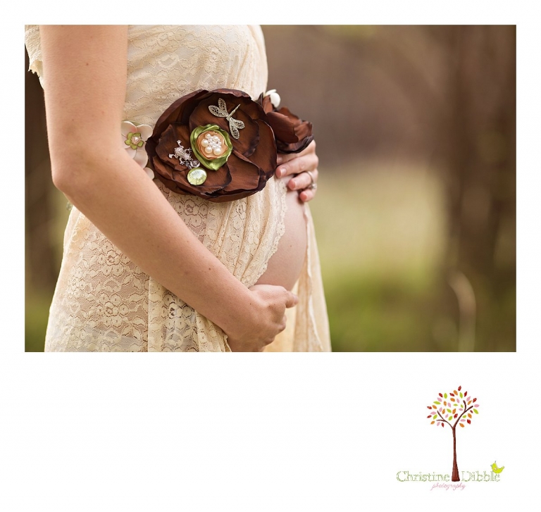 Sonora, CA Custom Portrait Photographer Christine Dibble Photography_1115.jpg