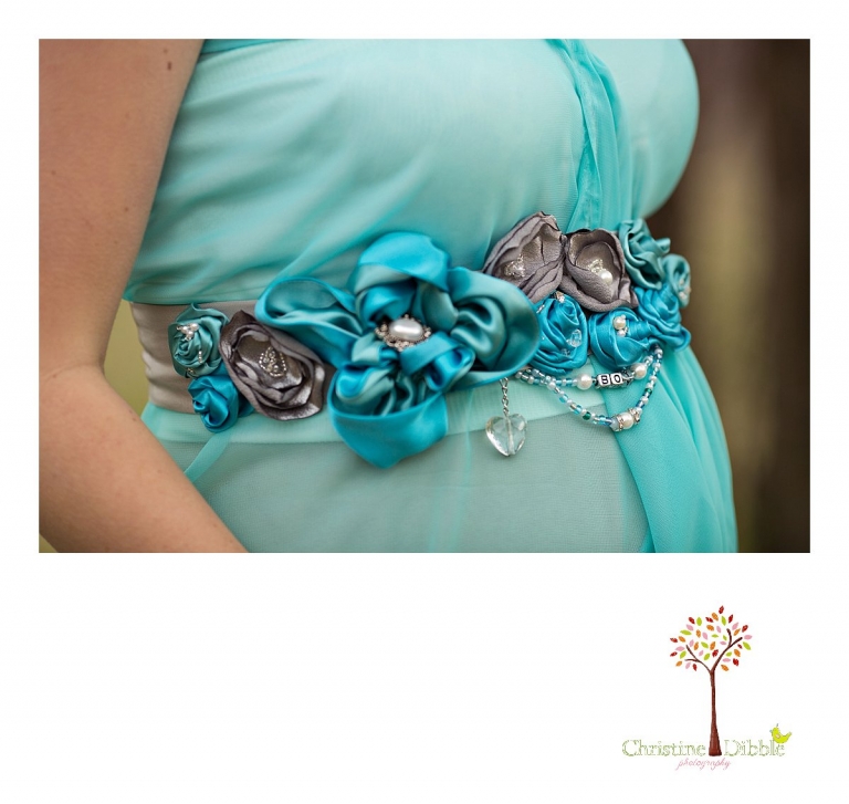 Sonora, CA Custom Portrait Photographer Christine Dibble Photography_1121.jpg