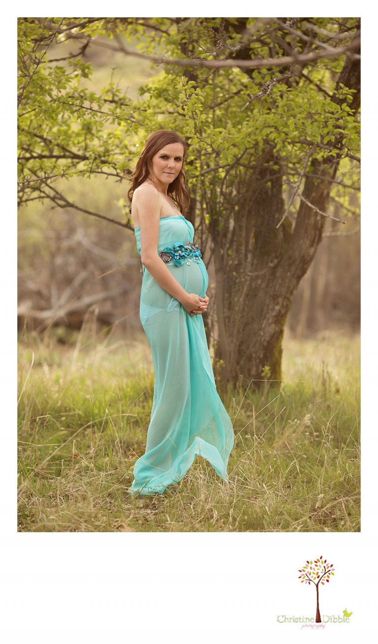 Sonora, CA Custom Portrait Photographer Christine Dibble Photography_1122.jpg