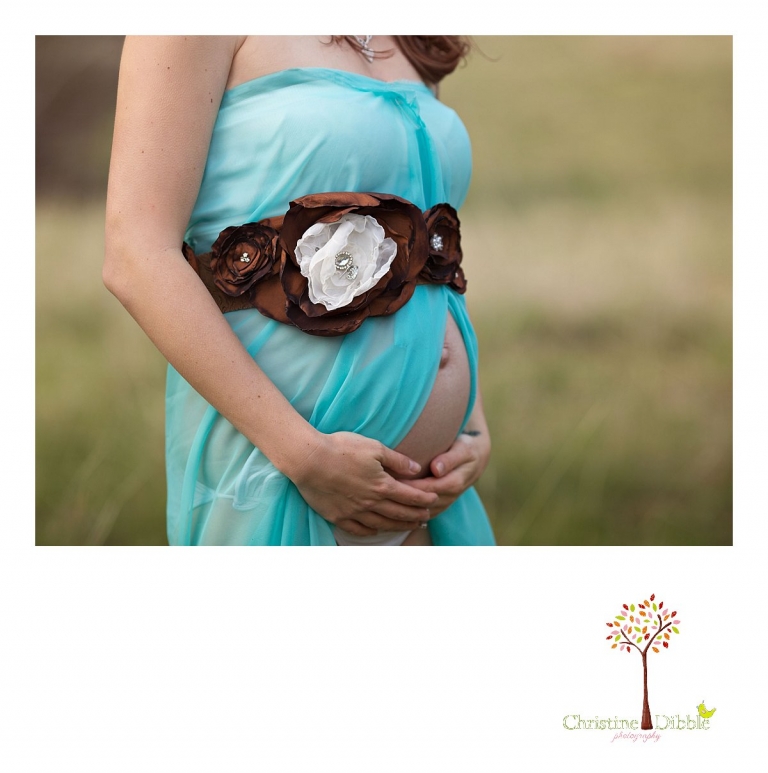 Sonora, CA Custom Portrait Photographer Christine Dibble Photography_1125.jpg