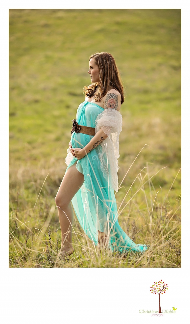 Sonora, CA Custom Portrait Photographer Christine Dibble Photography_1126.jpg