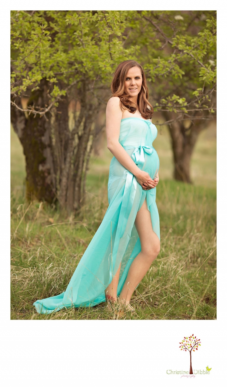 Sonora, CA Custom Portrait Photographer Christine Dibble Photography_1129.jpg