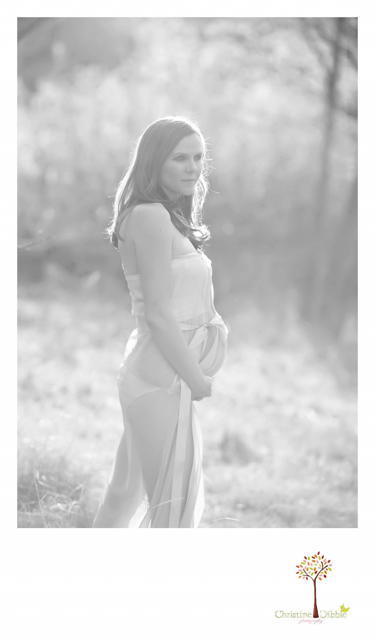 Sonora, CA Custom Portrait Photographer Christine Dibble Photography_1130.jpg