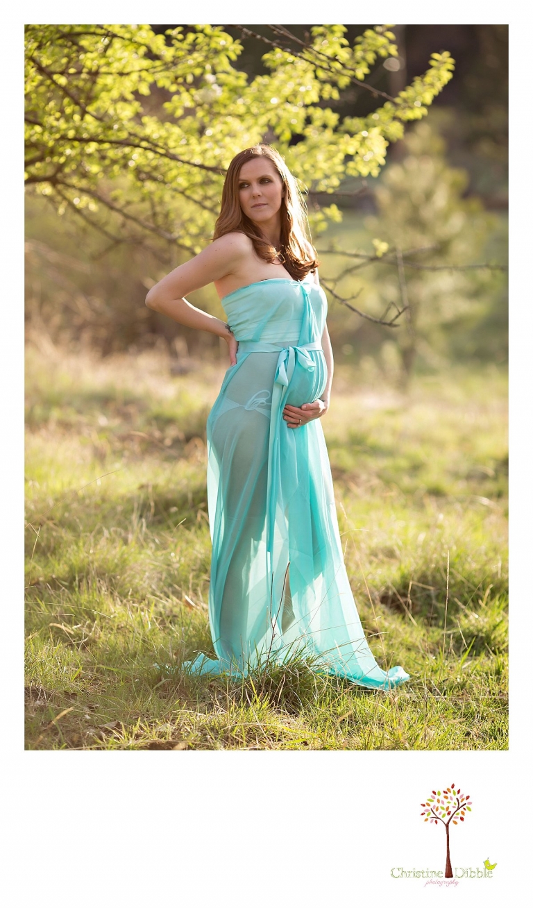 Sonora, CA Custom Portrait Photographer Christine Dibble Photography_1132.jpg