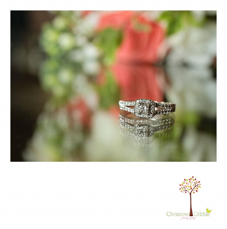 Sonora, CA Custom Portrait Photographer Christine Dibble Photography_1268.jpg