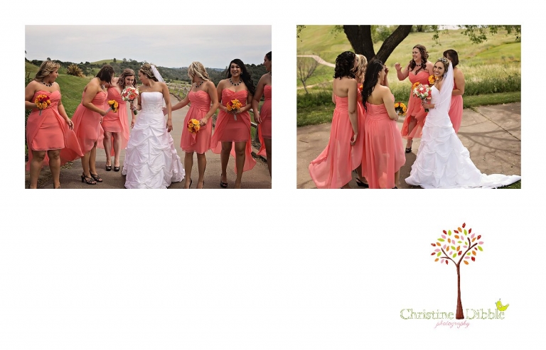 Sonora, CA Custom Portrait Photographer Christine Dibble Photography_1277.jpg