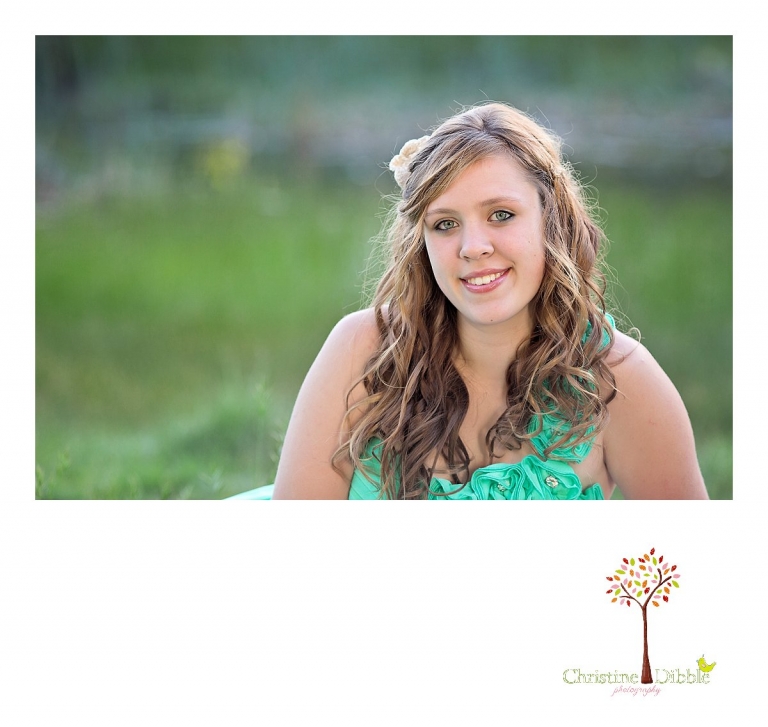Sonora, CA Custom Portrait Photographer Christine Dibble Photography_1409.jpg