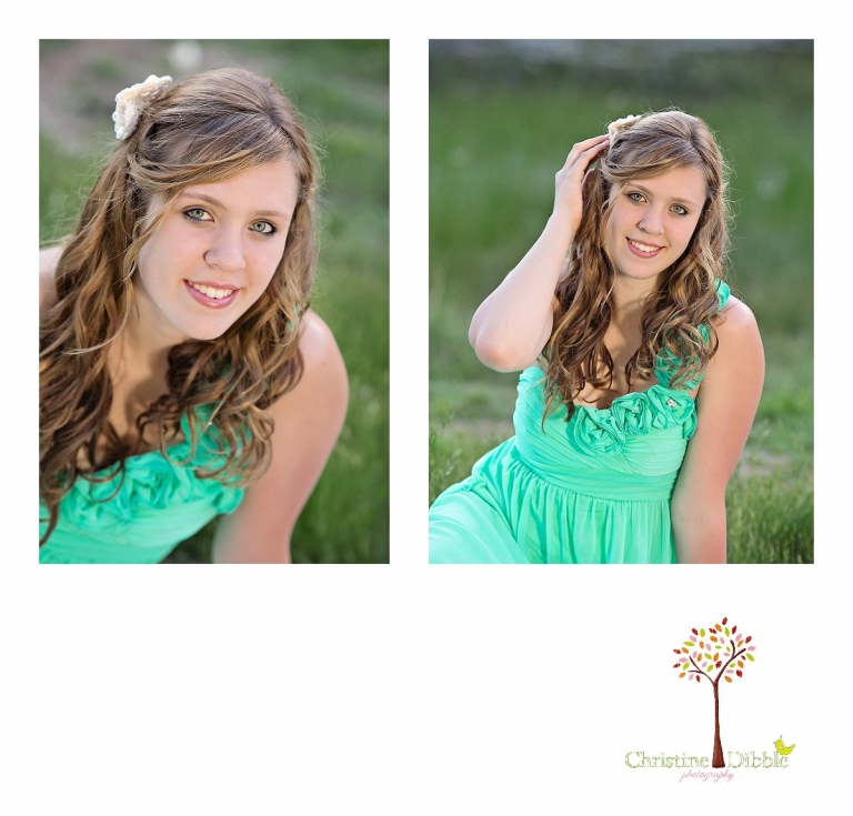Sonora, CA Custom Portrait Photographer Christine Dibble Photography_1410.jpg