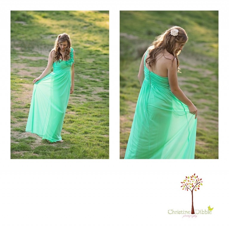 Sonora, CA Custom Portrait Photographer Christine Dibble Photography_1414.jpg