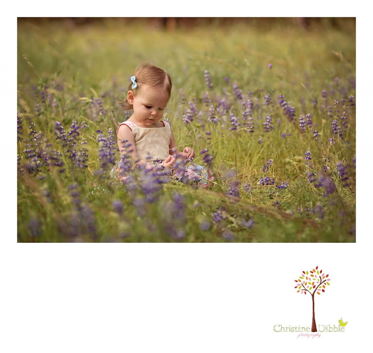 Sonora, CA Custom Portrait Photographer Christine Dibble Photography_1481.jpg