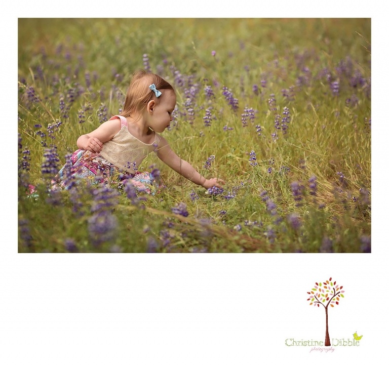 Sonora, CA Custom Portrait Photographer Christine Dibble Photography_1482.jpg