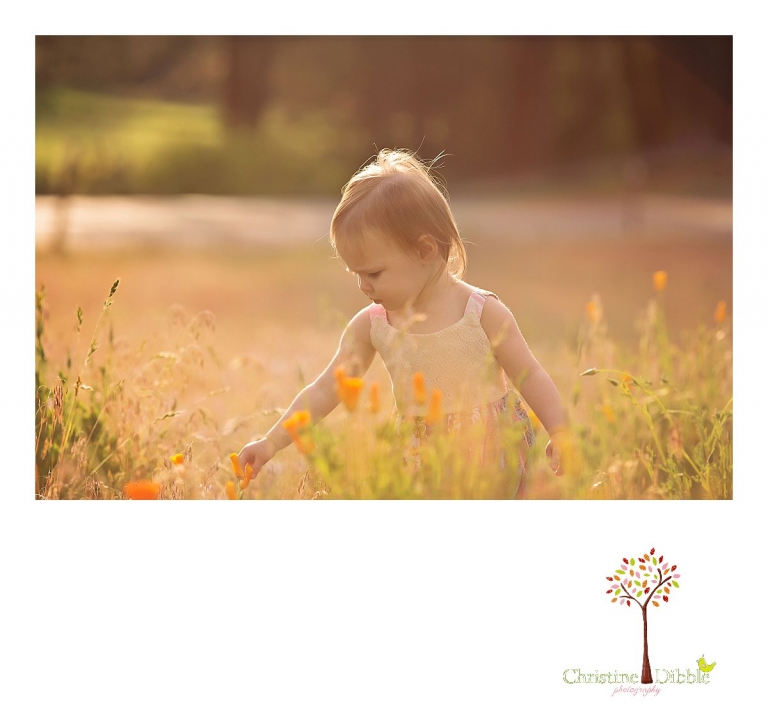 Sonora, CA Custom Portrait Photographer Christine Dibble Photography_1489.jpg