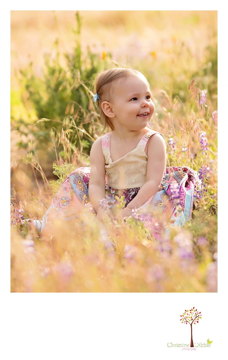 Sonora, CA Custom Portrait Photographer Christine Dibble Photography_1491.jpg