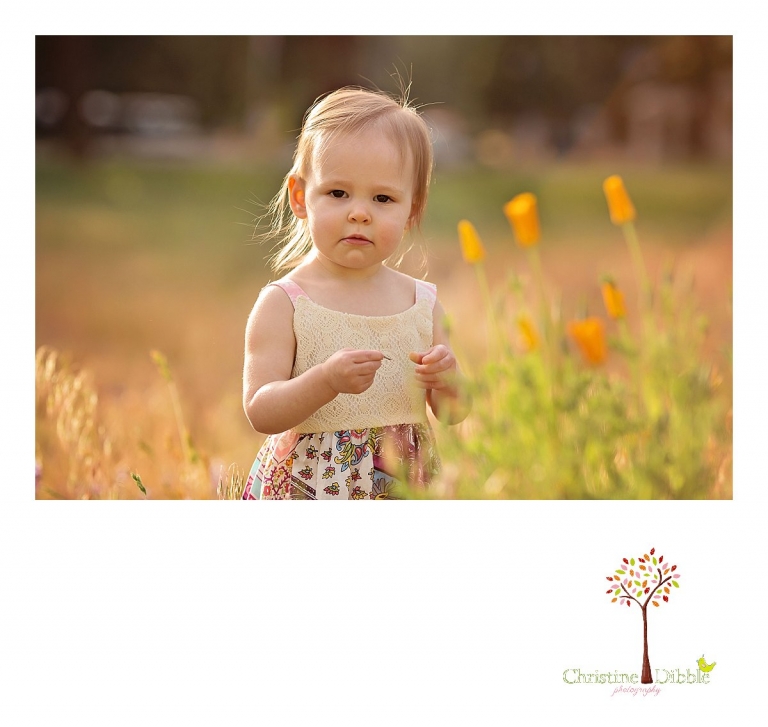 Sonora, CA Custom Portrait Photographer Christine Dibble Photography_1492.jpg