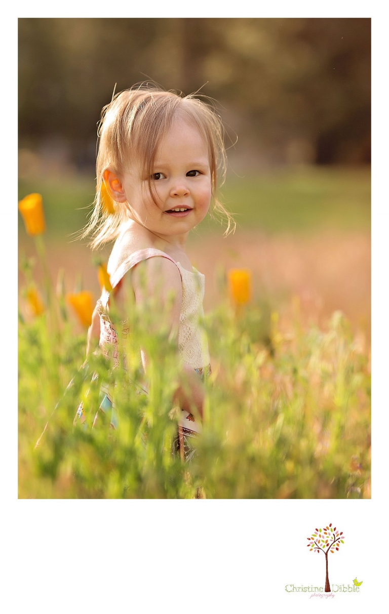 Sonora, CA Custom Portrait Photographer Christine Dibble Photography_1493.jpg