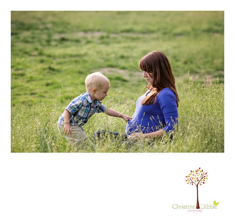 Sonora, CA Custom Portrait Photographer Christine Dibble Photography_1506.jpg
