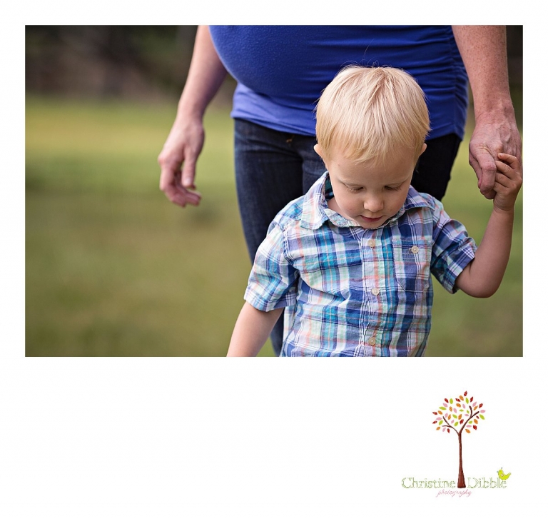 Sonora, CA Custom Portrait Photographer Christine Dibble Photography_1509.jpg