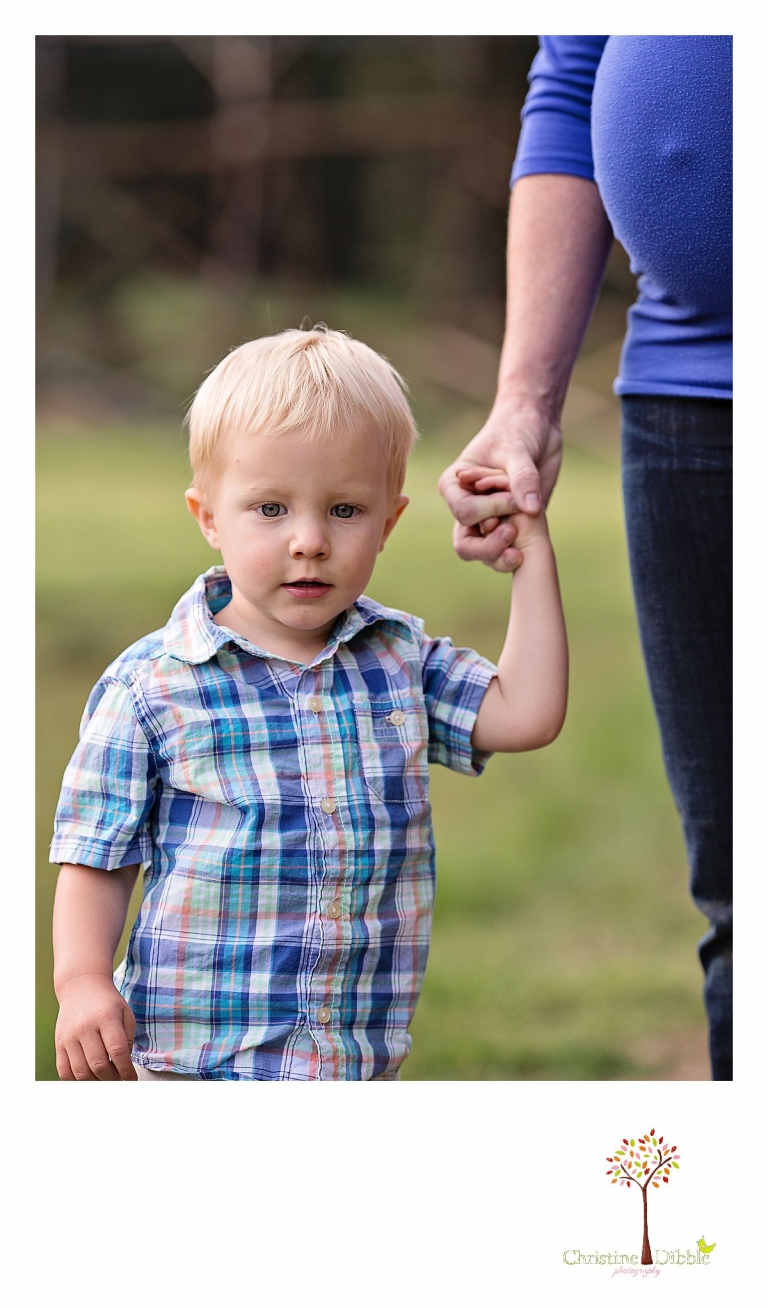 Sonora, CA Custom Portrait Photographer Christine Dibble Photography_1510.jpg