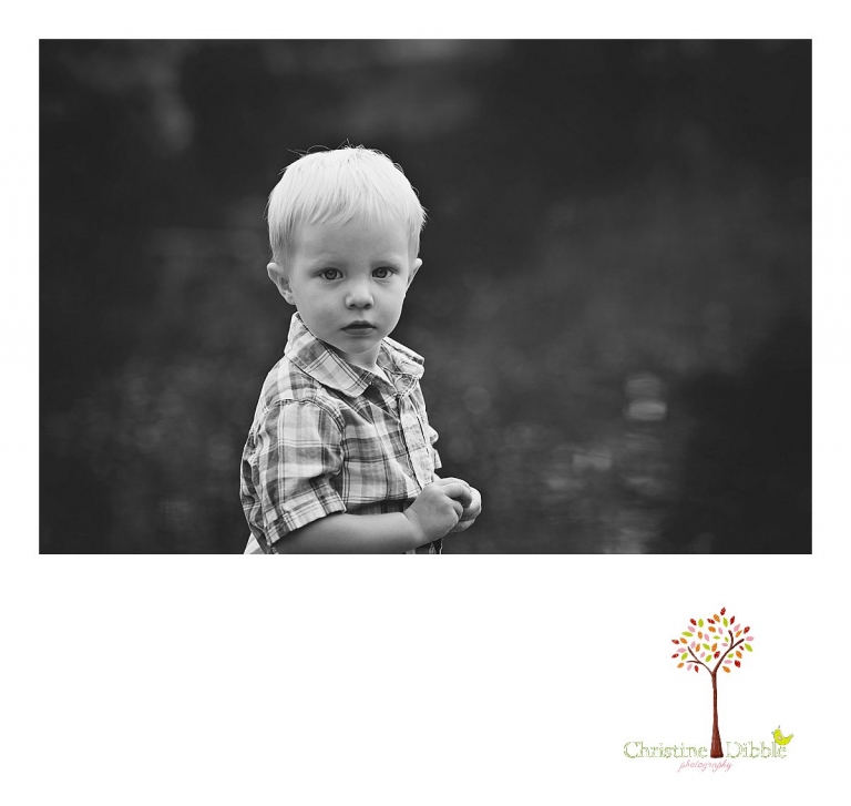 Sonora, CA Custom Portrait Photographer Christine Dibble Photography_1516.jpg