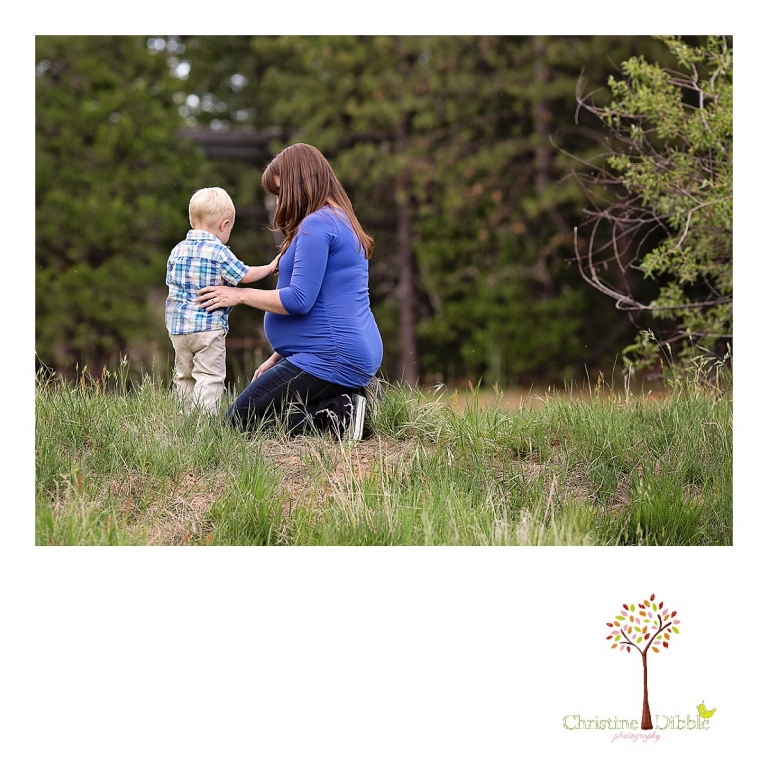 Sonora, CA Custom Portrait Photographer Christine Dibble Photography_1518.jpg