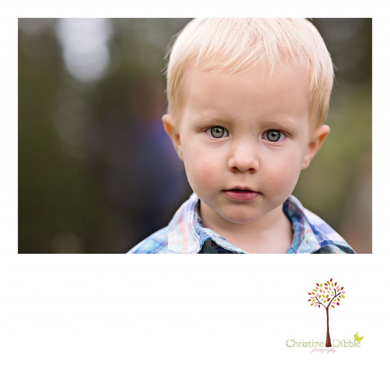 Sonora, CA Custom Portrait Photographer Christine Dibble Photography_1519.jpg
