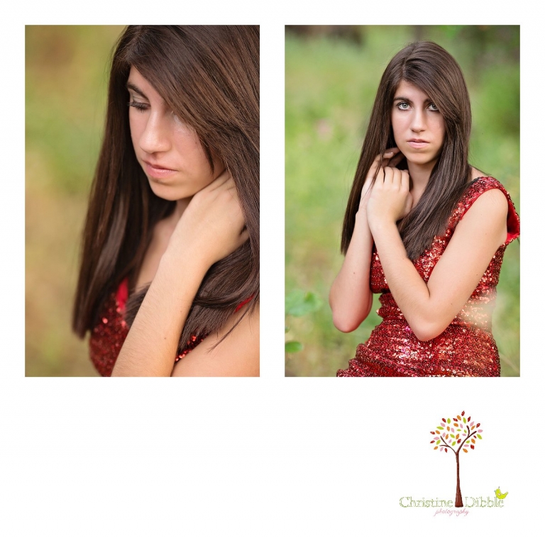 Sonora, CA Custom Portrait Photographer Christine Dibble Photography_1540.jpg