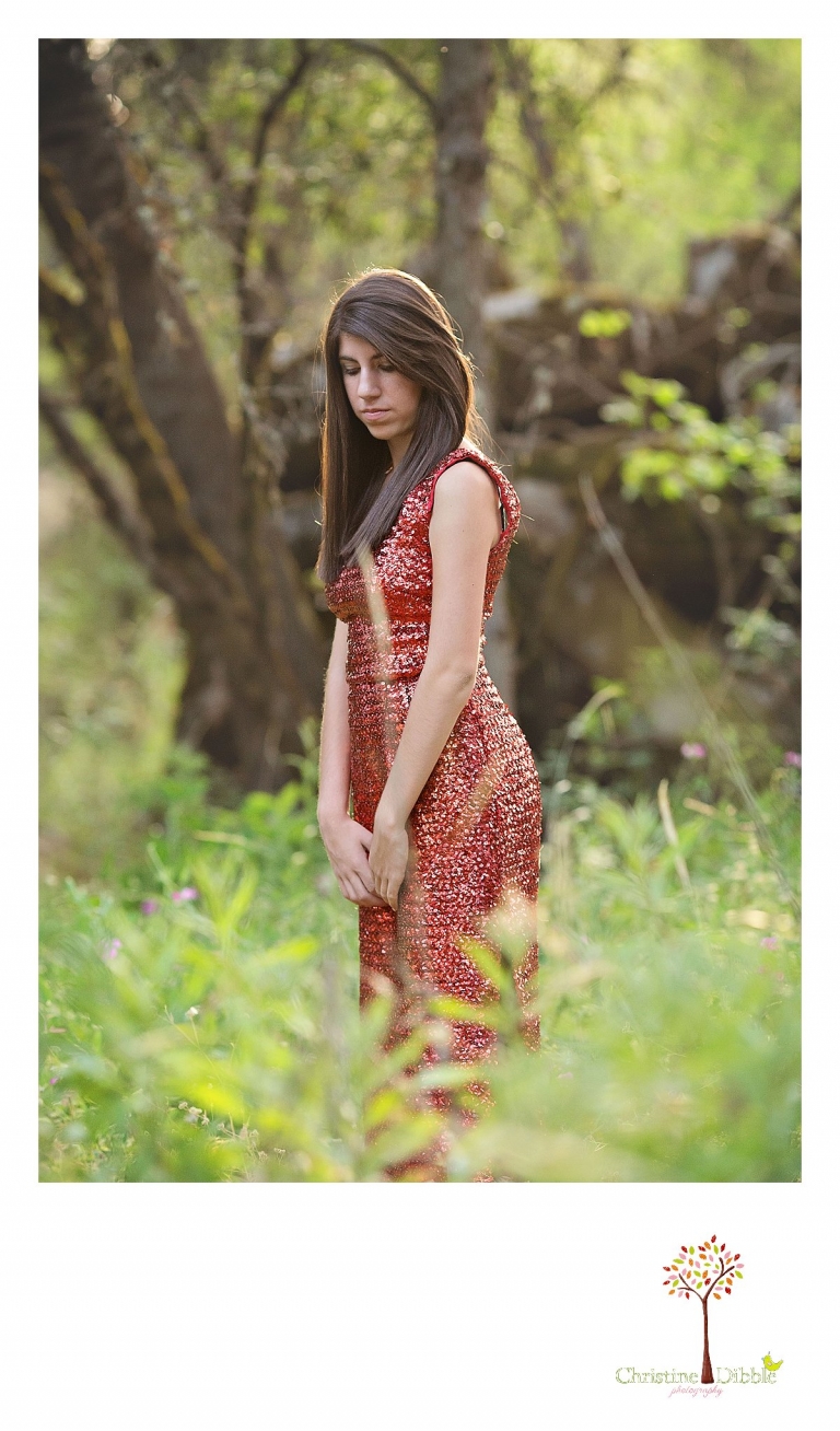 Sonora, CA Custom Portrait Photographer Christine Dibble Photography_1541.jpg