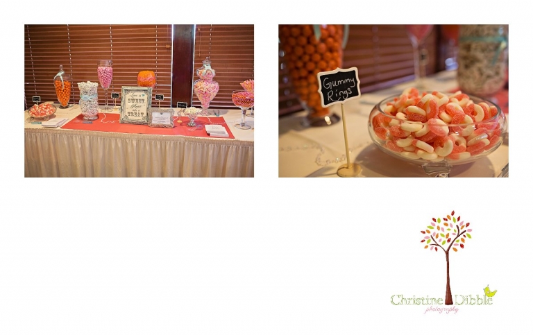 Summerville High School senior portraits of a beautiful girl wearing dresses in a field near Sonora.