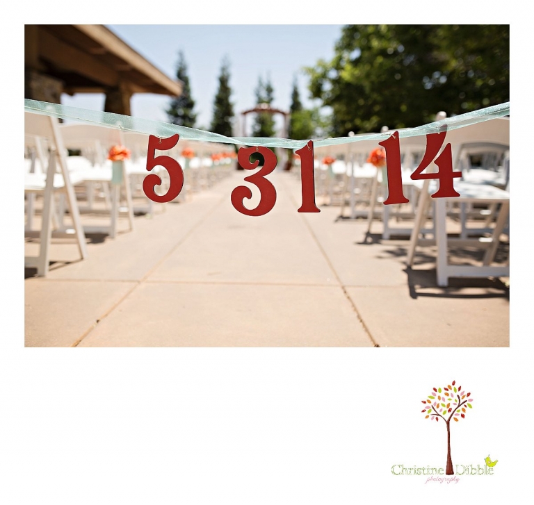 Summerville High School senior portraits of a beautiful girl wearing dresses in a field near Sonora.