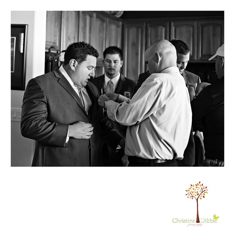 Summerville High School senior portraits of a beautiful girl wearing dresses in a field near Sonora.