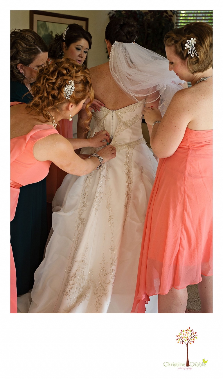 Summerville High School senior portraits of a beautiful girl wearing dresses in a field near Sonora.