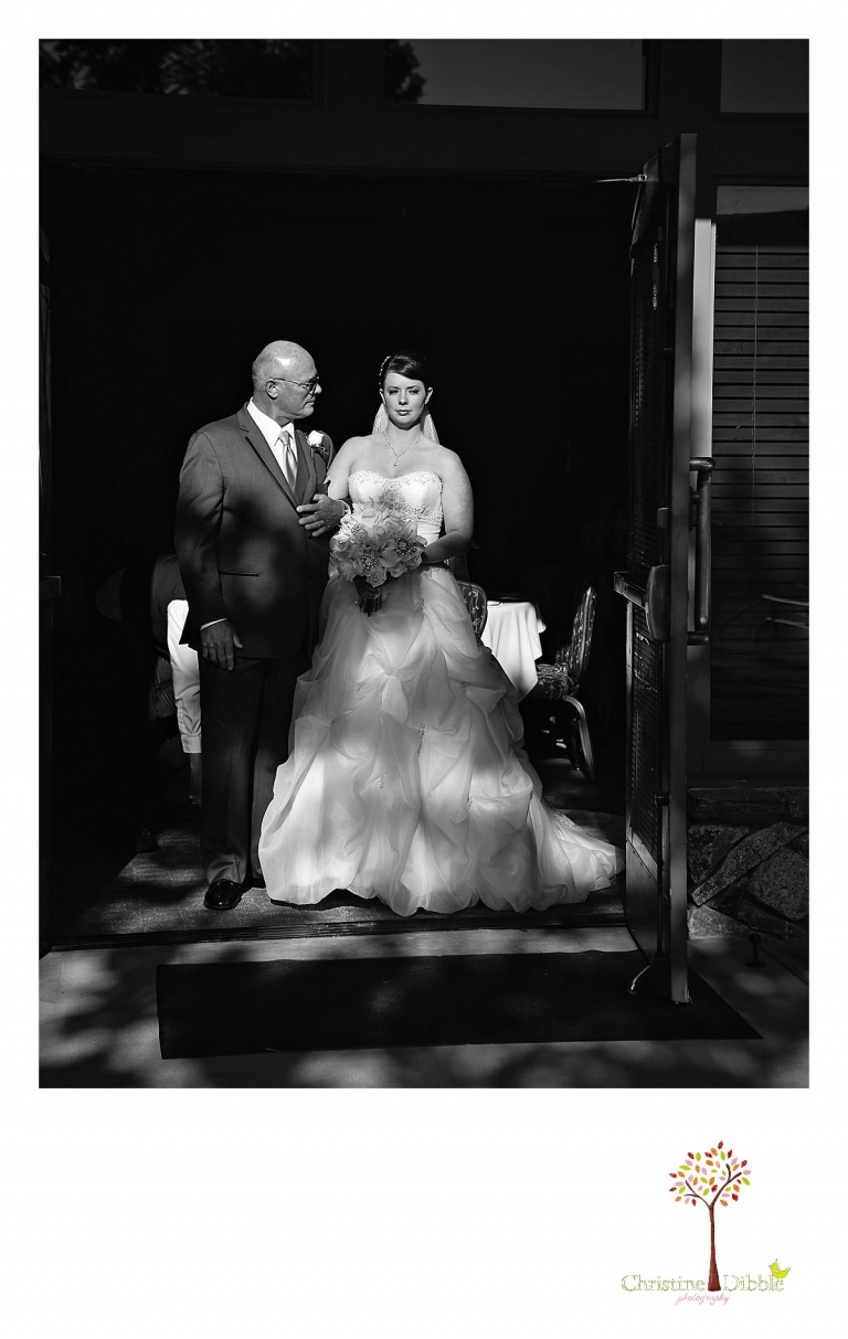 Summerville High School senior portraits of a beautiful girl wearing dresses in a field near Sonora.