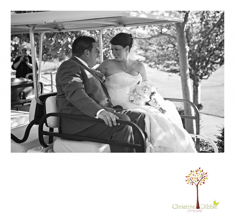 Summerville High School senior portraits of a beautiful girl wearing dresses in a field near Sonora.