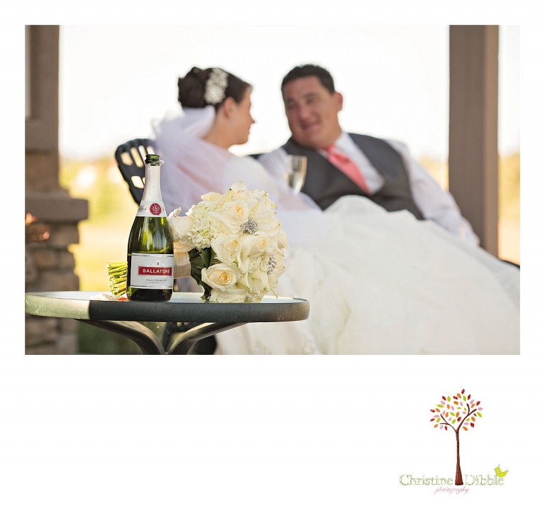 Summerville High School senior portraits of a beautiful girl wearing dresses in a field near Sonora.