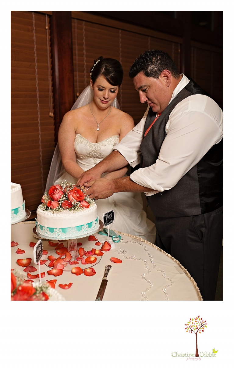 Summerville High School senior portraits of a beautiful girl wearing dresses in a field near Sonora.