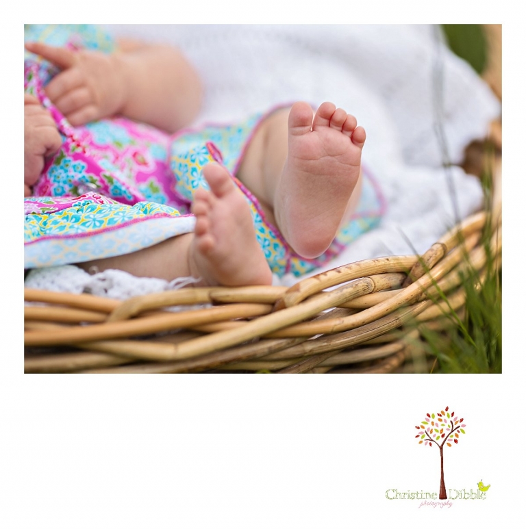 Sonora, CA Custom Portrait Photographer Christine Dibble Photography_1625.jpg