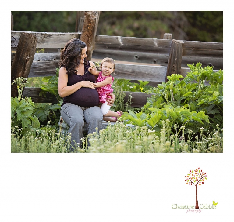 Sonora, CA Custom Portrait Photographer Christine Dibble Photography_1648.jpg