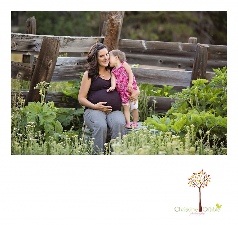 Sonora, CA Custom Portrait Photographer Christine Dibble Photography_1649.jpg