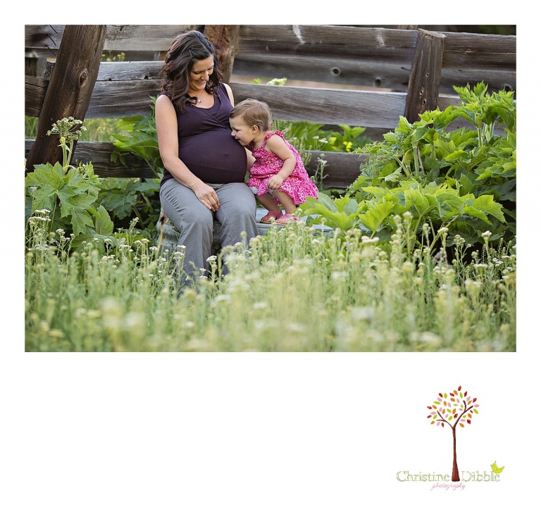 Sonora, CA Custom Portrait Photographer Christine Dibble Photography_1650.jpg