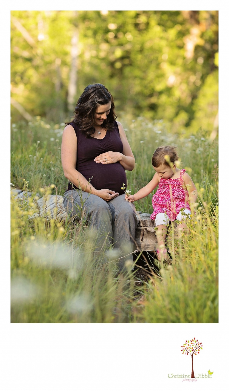 Sonora, CA Custom Portrait Photographer Christine Dibble Photography_1652.jpg