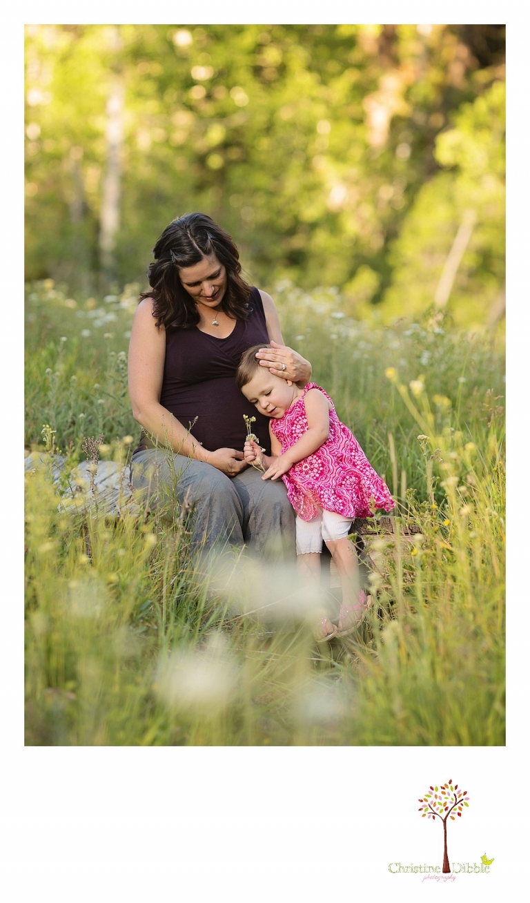Sonora, CA Custom Portrait Photographer Christine Dibble Photography_1653.jpg