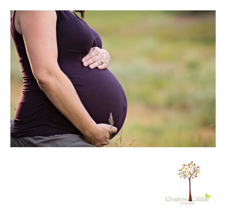 Sonora, CA Custom Portrait Photographer Christine Dibble Photography_1658.jpg